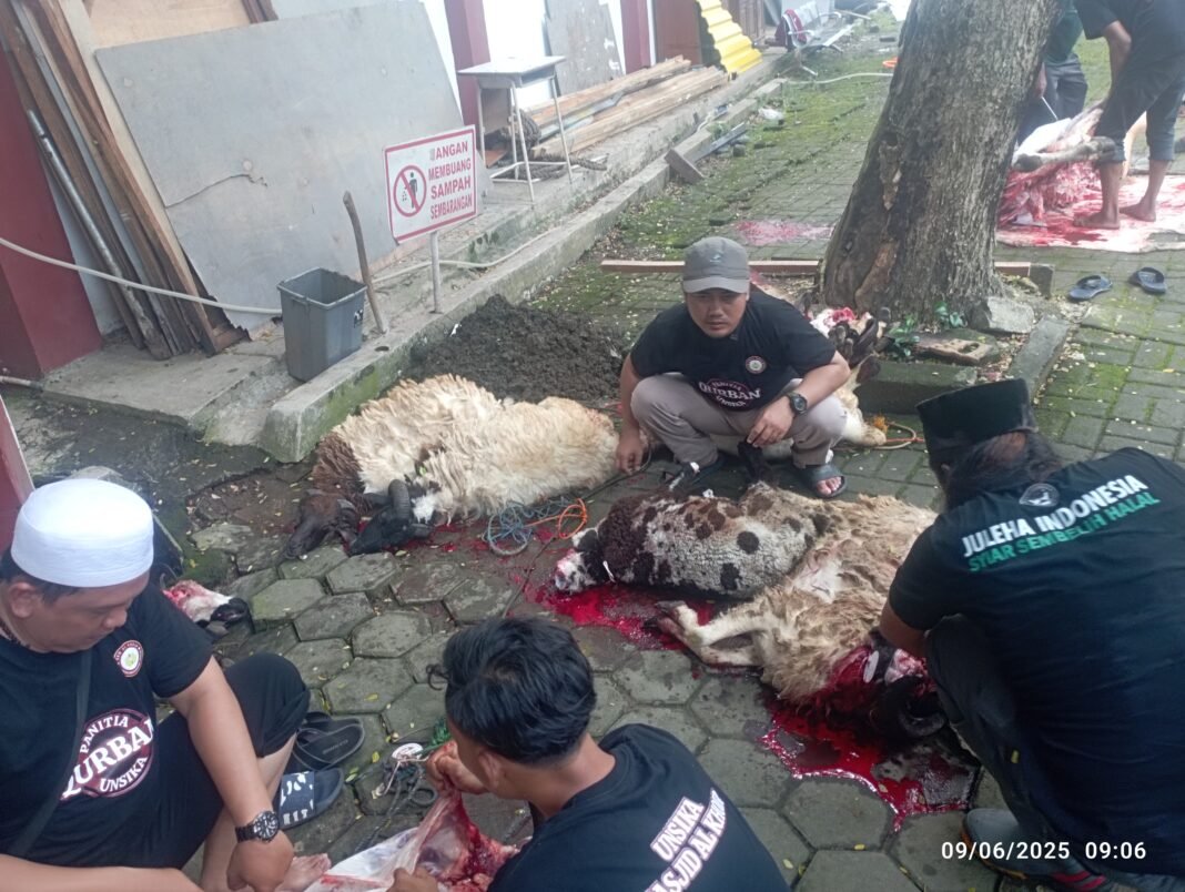 Dosen dan Tenaga Kependidikan Unsika Berpartisipasi dalam Penyembelihan Hewan Kurban