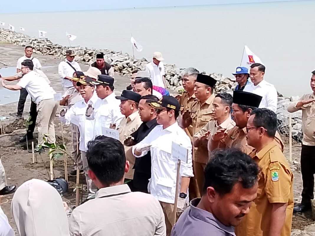 H. Ajang Supendi SH Ketua DPC Partai Gerindra Kabupaten Karawang Gelar Gerakan Tanam 5000 Pohon Mangrove di Desa Cemara Jaya, Kecamatan Pedes.